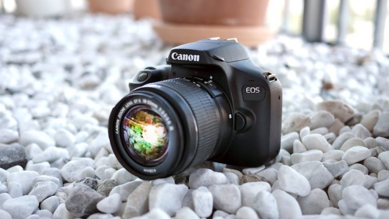 Best Dslr Camera Under 300 dollars