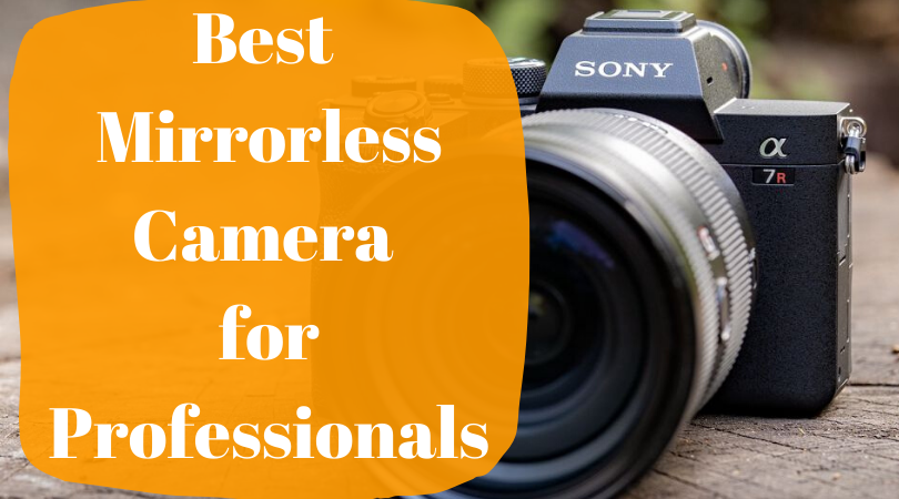 best mirrorless camera for professionals